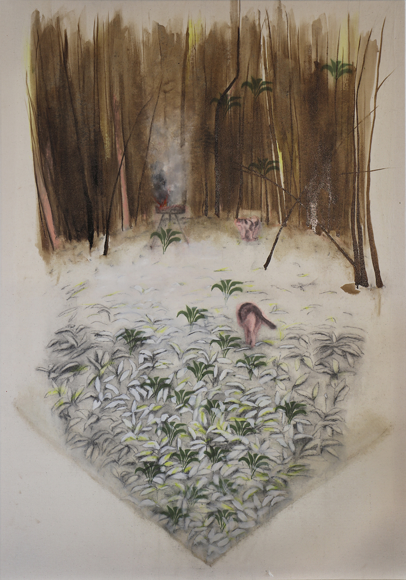 15-Territoire proche